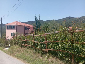 LA TANA DELLA VOLPETTA - Bed & Breakfast